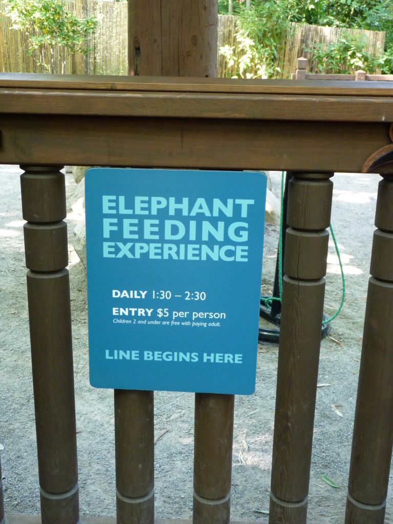 seattlezoo002.jpg