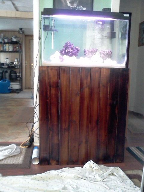 29galtankandstand - 29 gallon tank, stand & light for sale