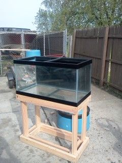newtankandstand1 - 55 Breeder, ATO W/ Pump and Test Kits For Sale