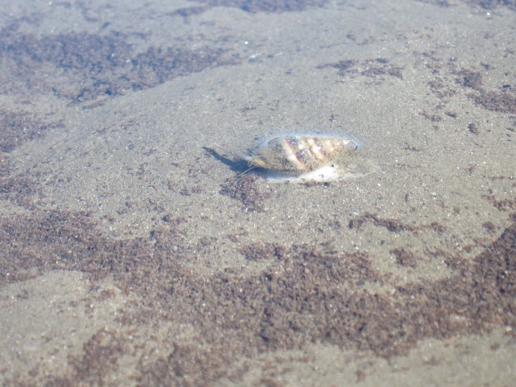 Cùng nhau trò chuyện và nhiếp ảnh về miền đất biển ^^^... - 1