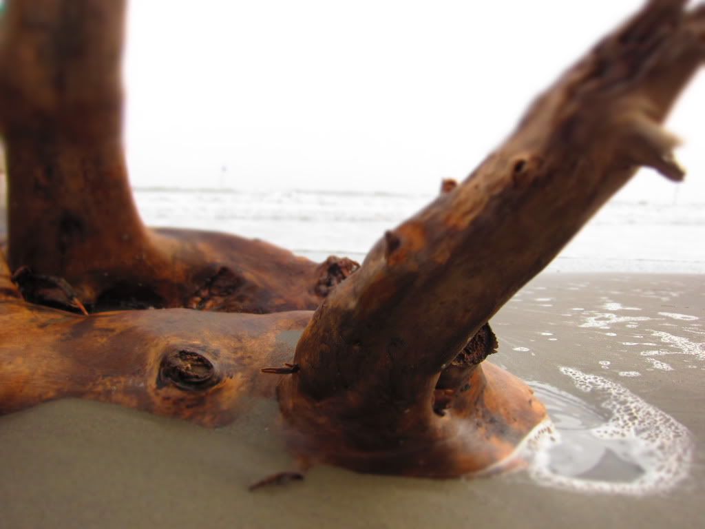 Cùng nhau trò chuyện và nhiếp ảnh về miền đất biển ^^^... - 7