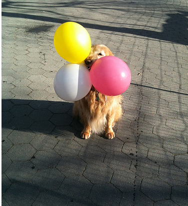 labballoons_zps8cc57215.png