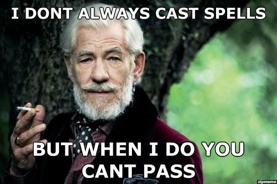 the-most-interesting-gandalf-in-the-world-i-dont-always-cast-spells_zps6a226b67.jpg