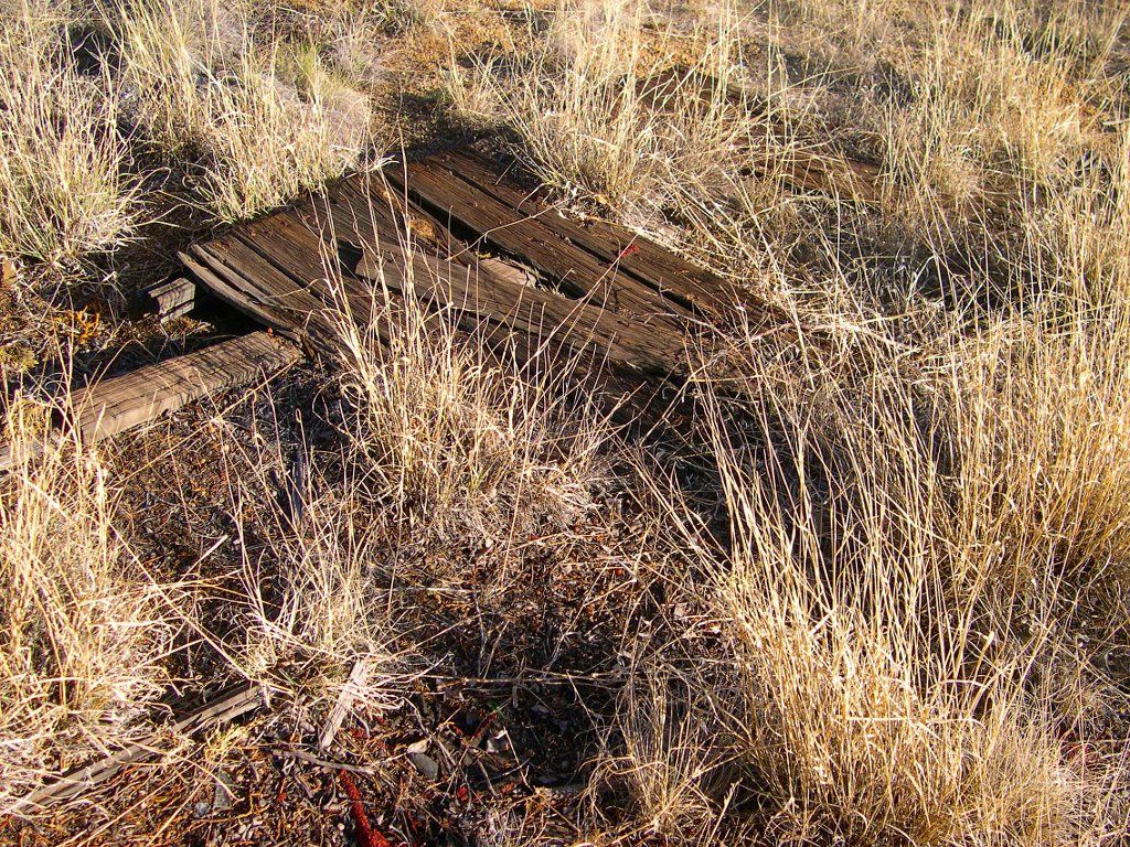 cabin-ruin-wall.jpg