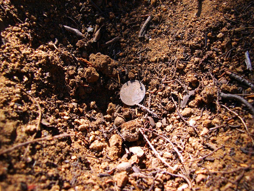 1901-barber-dime-hole.jpg