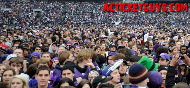 Baltimore Ravens Fans (c) acticketguys baltimore ravens