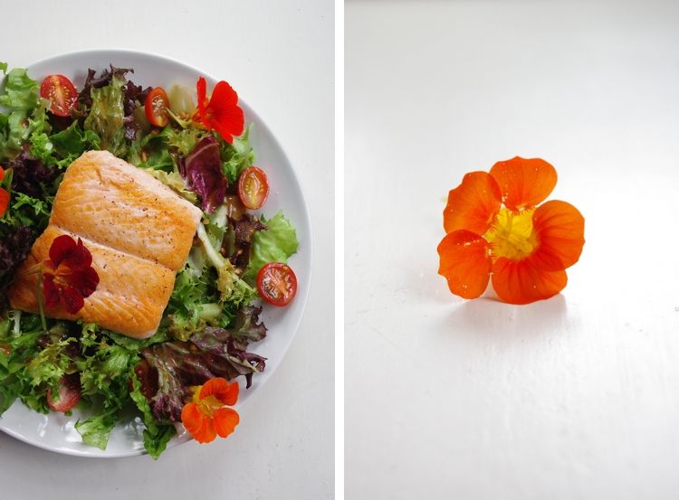 photo lachs_zps6e6bbb19.jpg