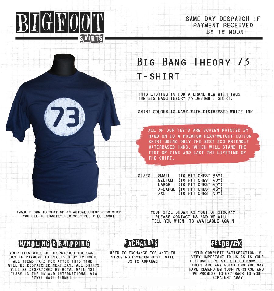 73 t shirt big bang theory