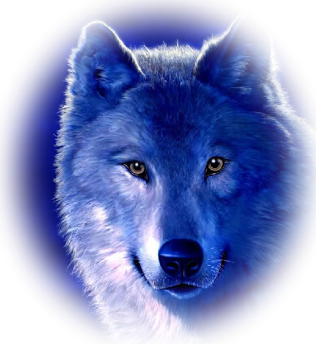 The Lone Wolf - I Still Love You - Jumpin' Baby The Lone Wolf - I Still Love You - Jumpin' Baby
