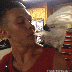 24_zpsedccfce6.gif