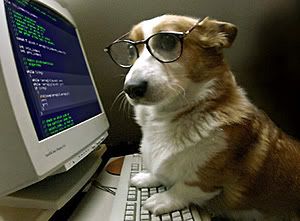 doggie on computer photo: Doggie on Computer I-heard-hes-good-at-coding-s.jpg