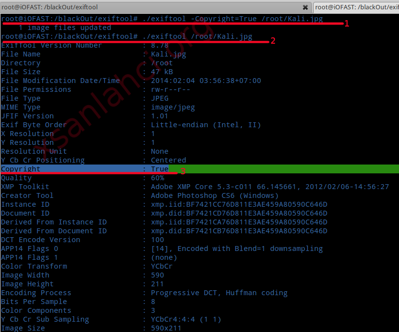 root@kali:~# exiftool -Copyright=True file.jpg