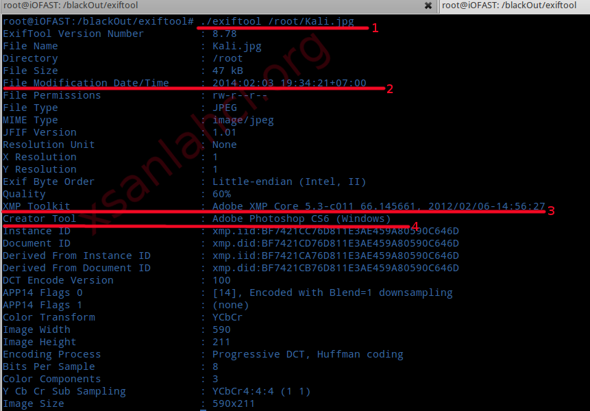 root@kali:~# exiftool file.jpg