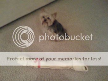 photo-11