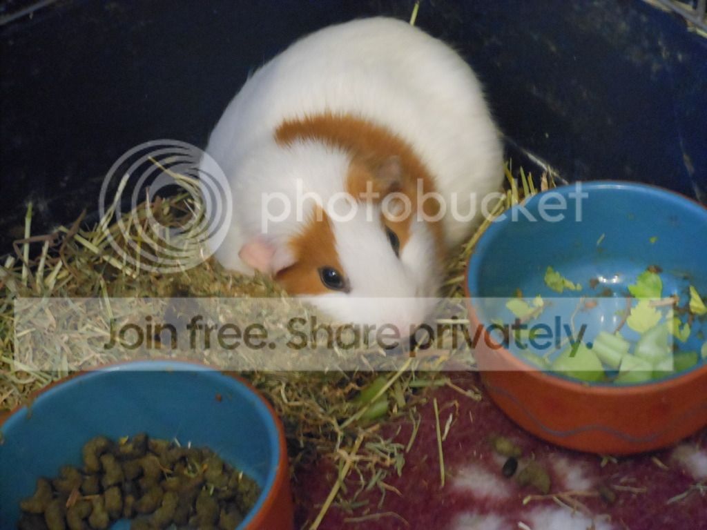 DSCN0263.jpg