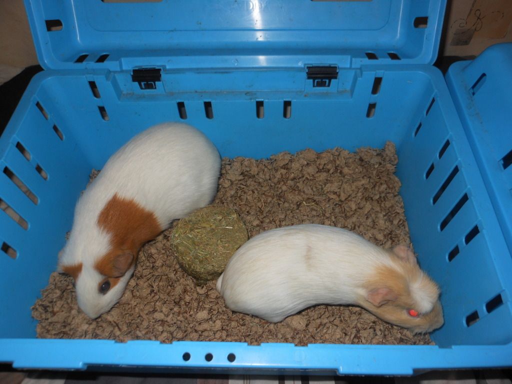 DSCN0512.jpg