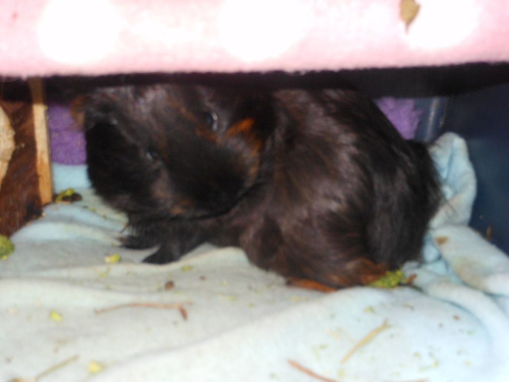 DSCN1109.jpg
