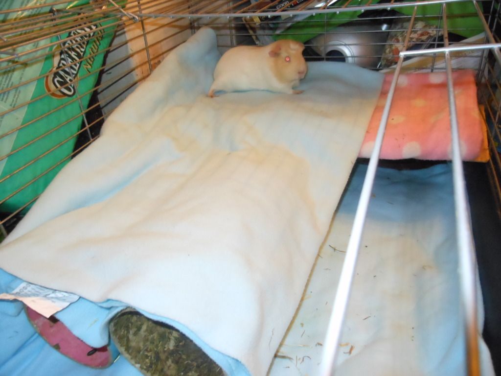 DSCN1113.jpg