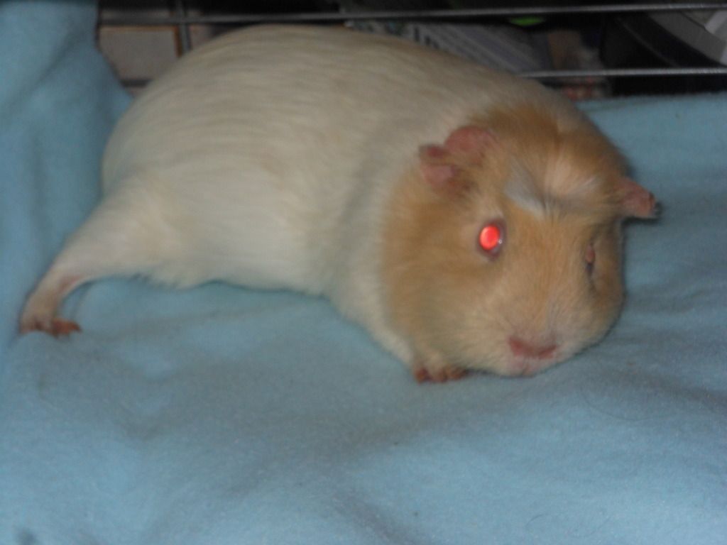 DSCN1121.jpg