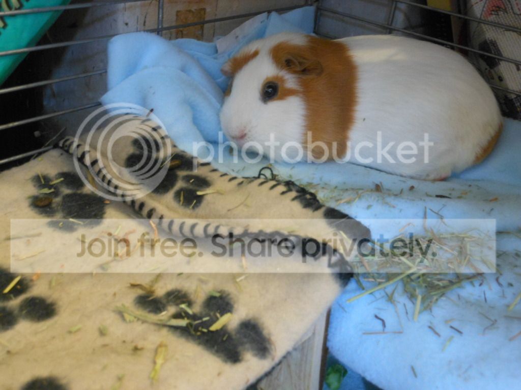 DSCN1293.jpg