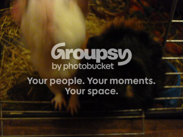 P1000923_zps0ce4a974.jpg