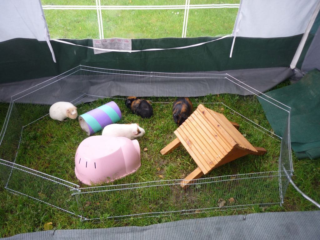 P1030834.jpg