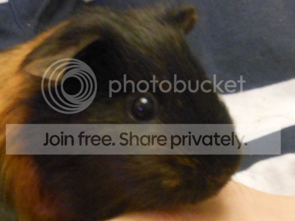 RSCN0190.jpg