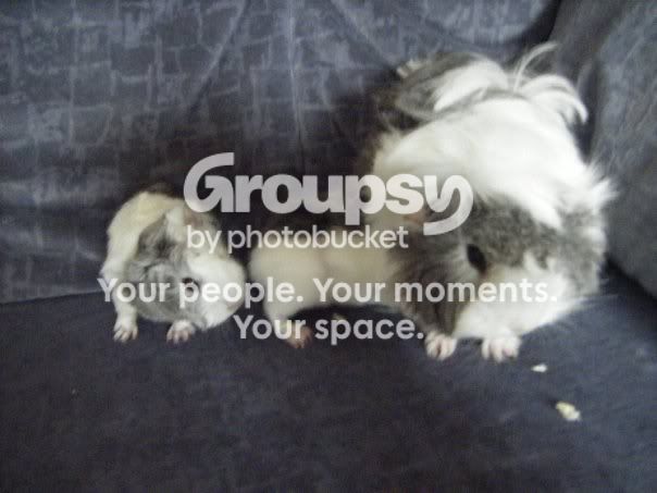 BigMummyMopandBabies_zps3b653fdf.jpg