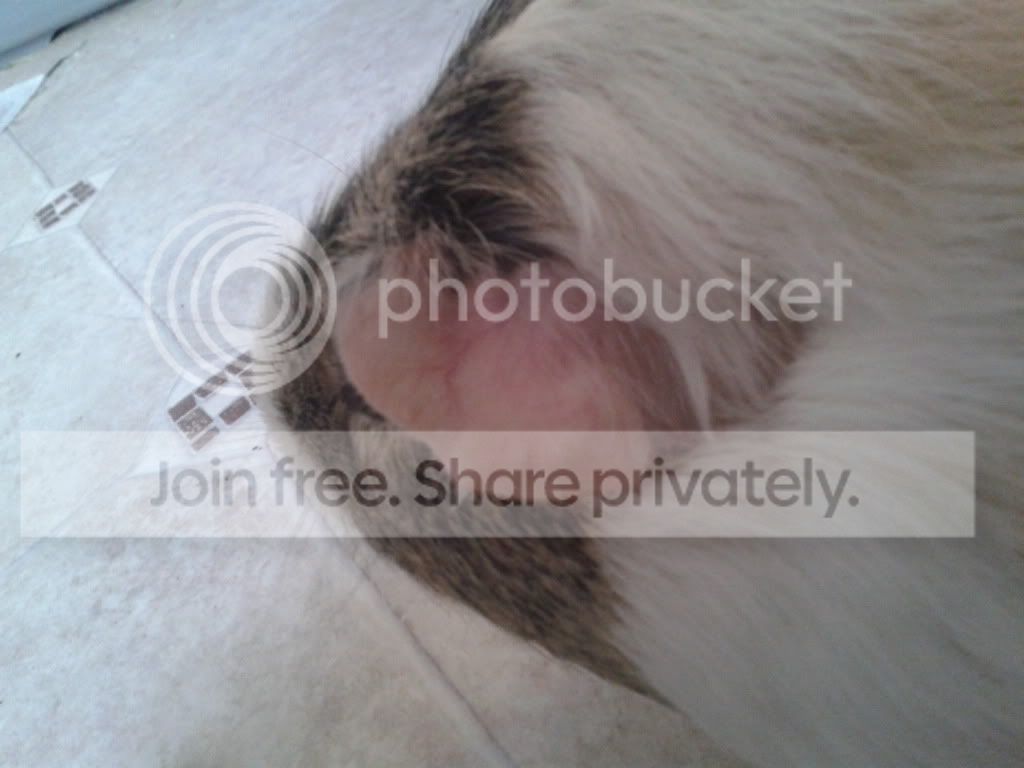 PigturesJan2013414_zpsbbc6a80b.jpg